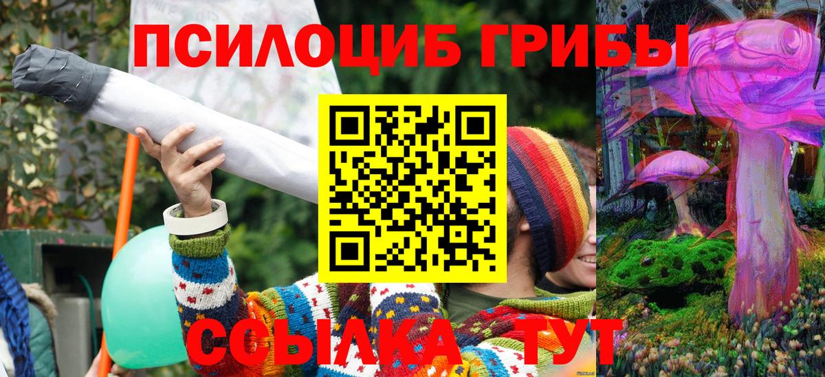 Галлюциногенные грибы ЛСД  Псилоцибиновые грибы GOLDEN TEACHER  магазин продажи наркотиков  Вход с VPN  Клинцы 